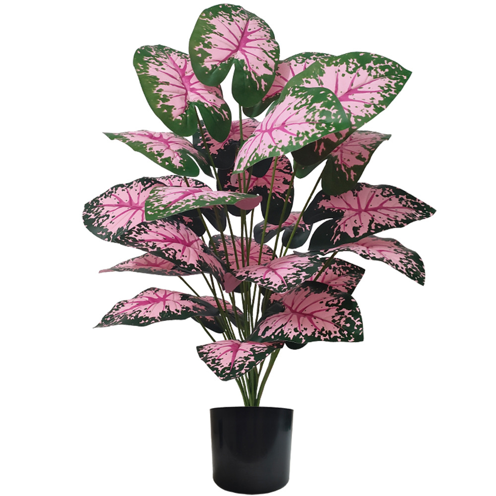 Desk Setup Plant - Piante in vaso con foglie rosa