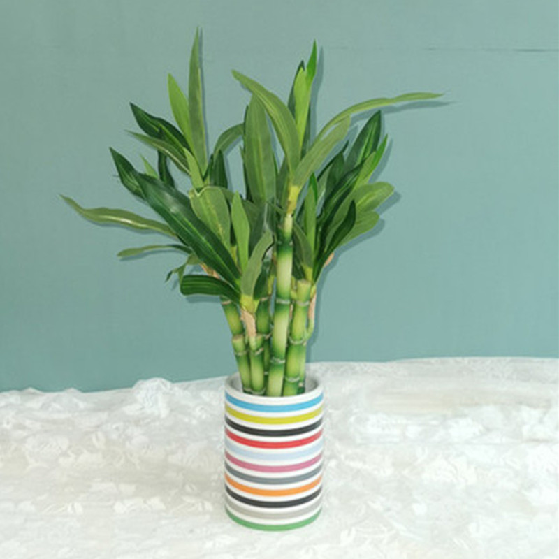 Nuovo 40 cm rFtificial Lucky B - Desk Setup Plant recensione e prezzo