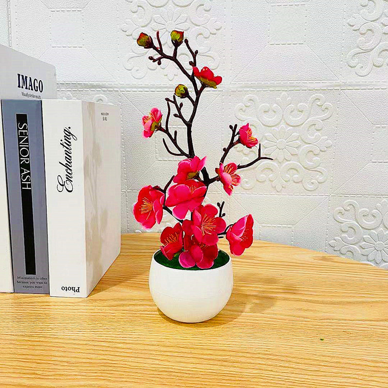 2025 CALDO Festa della mamma N - Desk Setup Plant recensione e prezzo