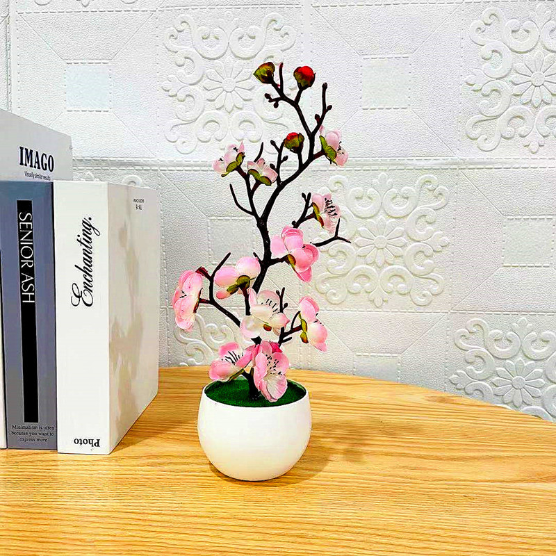 2025 CALDO Festa della mamma N - Desk Setup Plant recensione e prezzo
