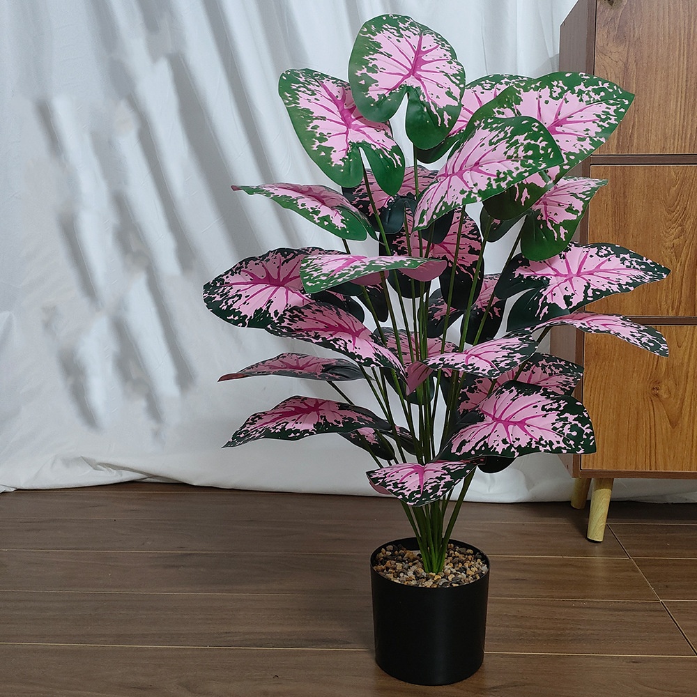 Piante in vaso con foglie rosa - Desk Setup Plant recensione e prezzo