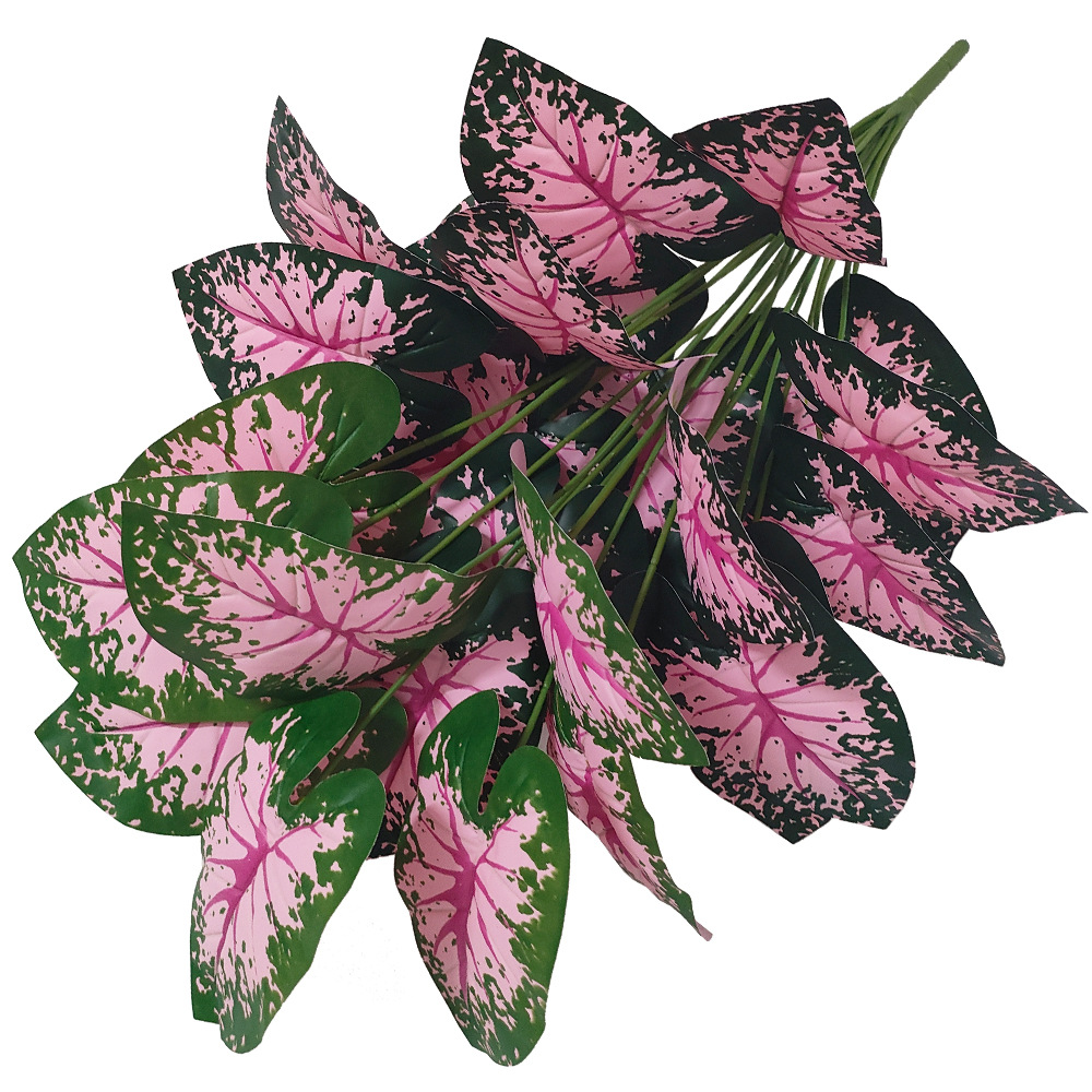 Piante in vaso con foglie rosa - Desk Setup Plant recensione e prezzo