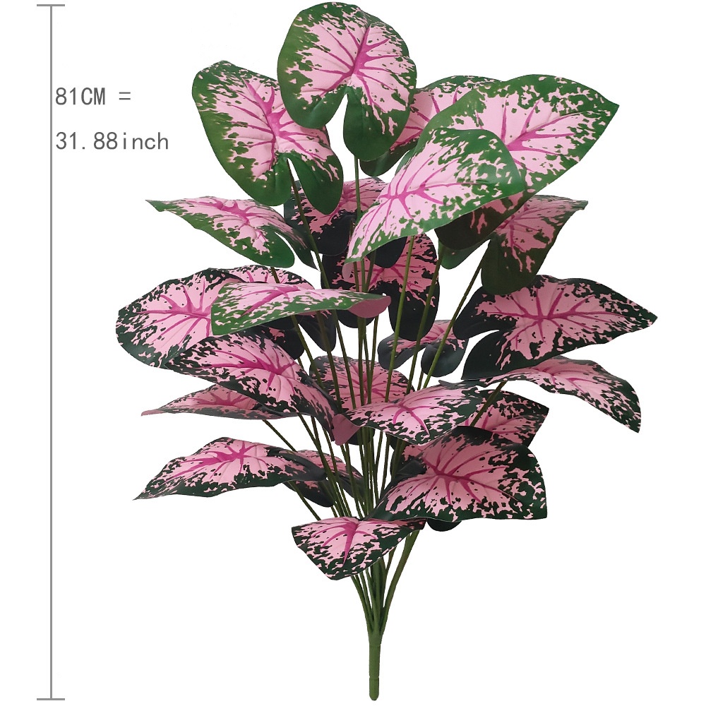 Piante in vaso con foglie rosa - Desk Setup Plant recensione e prezzo