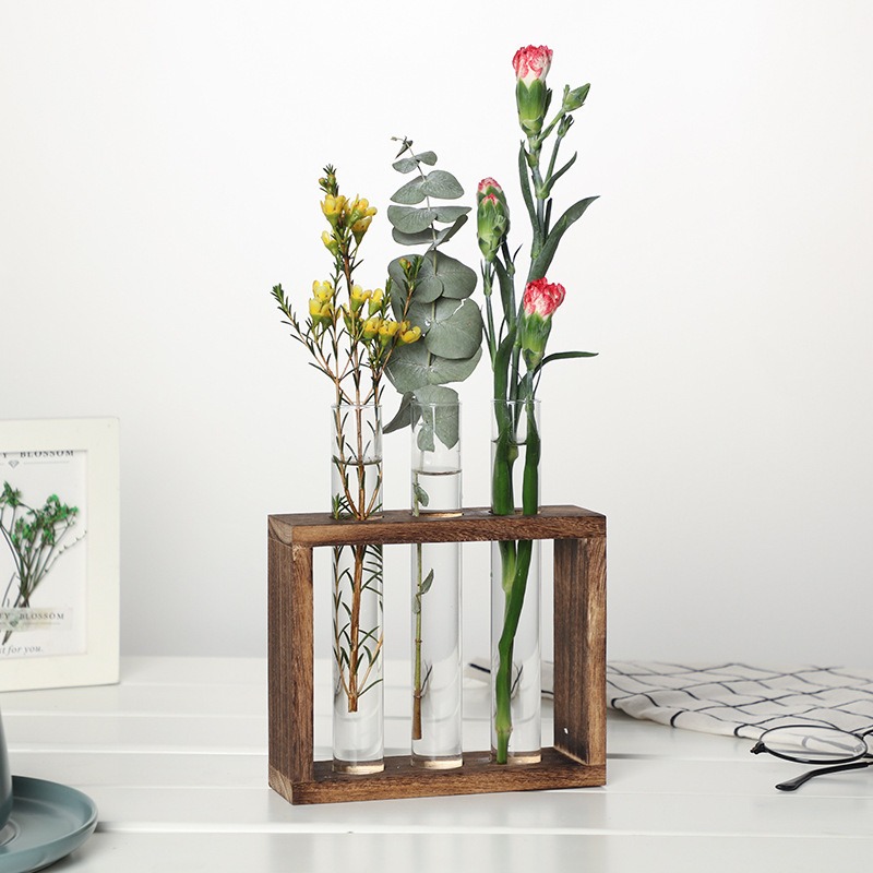 Fioriera idroponica in vetro a - Desk Setup Plant recensione e prezzo