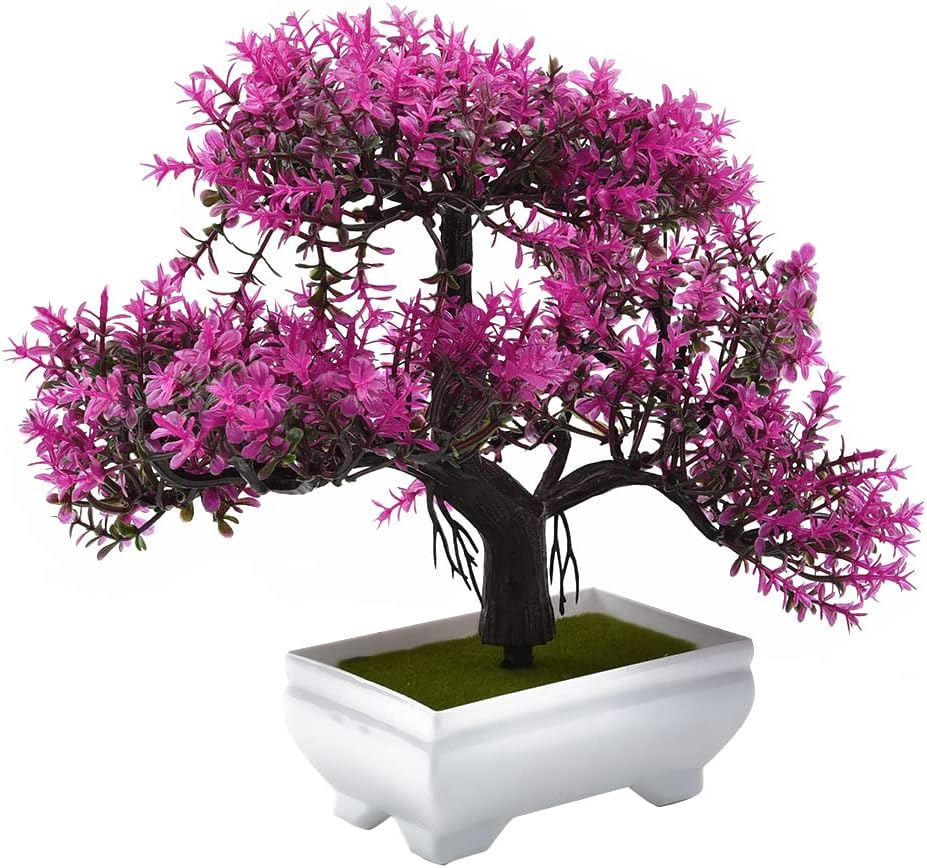 Piante artificiali Bonsai Pian - Desk Setup Plant recensione e prezzo